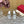 High Heel 70 Sandal The Bold Edition Vlogo Square Toe Silver