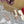 Slingback Sandal 70 The Bold Edition Vlogo Square Toe Rose Cannelle