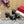 Slingback Sandal 70 The Bold Edition Vlogo Square Toe Black