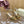Jimmy Sandal 130mm In Gold Lambskin With Stone 581555