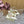 Jimmy Saeda 105 In White Pearl Studded Lambskin Pumps 581507