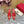 Vlogo Signature with Crystals Slingback Pump 70 Red Calfskin