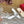 Vlogo Signature with Crystals Cut-Out Slingback Pump 70 White Calfskin