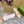GG PLATFORM SANDAL PASTEL PINK CALFSKIN WITH CHAINS