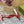 SLINGBACK PUMP 6 CM IN BLOOD RED GLOSSY CALFSKIN