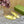 BALLET FLAT IN LIGHT YELLOW SILK