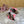 DC Keira Open-Toe Mules Brown Leopard-Print & Sheepskin 925999