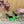 DC Rhinestone Buckle Mules Green Silk & Sheepskin 926018