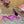 DC Rhinestone Buckle Mules Fuchsia Silk & Sheepskin 926020