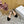 CD Dway Heeled Sandal 120mm Black Silk And Lambskin