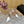 Alaila Mule 100mm In White Lambskin 957210