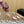 Alaila Mule 100mm In Beige Lambskin 957215