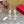 High Sandal 86mm In Rose Pink Cowhide 102068