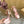 CL 25C Cassia Lace Up Alta 160mm Your Pink Silk 221613