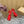 CL 25C Cassia Lace Up Alta 160mm Red Silk 221614