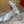 VT High Heels Sandals 110mm Silver Calfskin 286484
