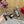 VT High Heels Sandals 110mm Gray Calfskin 286486