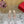 Rockstud Leather Caged Mule Sandals 10mm Pale Pink Sheepskin 307858