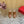 Valentino Tan-Go Clogs 10cm Brown Leather 702270