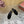 LP Vera Sandal Black Sheepskin 307963