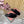 LP Vera Sandal Black Sheepskin 307963