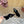 LP Vera Heeled Sandal Black Sheepskin 307966