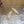 Jimmy Choo Mary Jane Flat Shoes Nude Mesh Cross Strap Pearl 537768