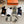 ANKLE SOCKS 406357 (1 BOX)