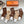 LOW-CUT SOCKS 408002 (1 BOX)
