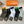 CREW SOCKS 420814 (1 BOX)