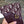 SADDLE GLOVES IN BURGUNDY RED LAMBSKIN MIX MONO JACQUARD FABRIC 427423