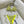 Versace Two-Piece Bikini Yellow Colorful 201827