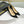 Cl Kate Pump Black Beige Patent Calfskin