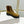 Loewe Sierra Boot Golden Brown Suede 549697