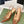 GG Horsebit Slingback 85MM Brown GG Leather Point Toe