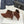The Row 2025 Square Toe Kitten Heel Ankle Boot Brown Suede 572052