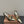 Miu slingback pump metallic gold leather
