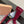 Miu 40 knee high boots berry cowhide