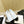 cc espadrilles white black caflskin