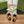 GG JORDAAN LOAFER LIGHT BROWN WOVEN FABRIC