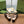 GG HORSEBIT PUMP BLACK LAMBSKIN
