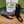 GG Horsebit Ankle Boot 95 Black Calfskin