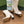 GG Horsebit Ankle Boot 95 Cream Calfskin