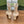 GG Horsebit Ankle Boot 65 Cream Calfskin
