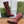 GG 26s Signoria Long Boot 4.5cm Burgundy Cowhide 997213