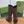 GG 26s Signoria Long Boot 4.5cm Brown Cowhide 997214