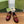 GG Marina Loafer Dark Red Patent Calfskin