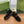GG Ankle Boot With Horsebit 15 Black Suede