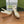 GG WEDGE PLATFORM IN WHITE CALFSKIN