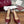 GG Horsebit Slingback 85MM Red Ebony Monogram Canvas Point Toe Crystal-Embellished